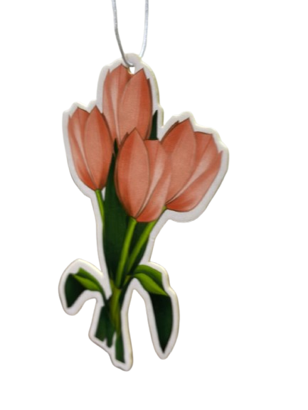 IMG-20250315-WA0032-removebg-preview